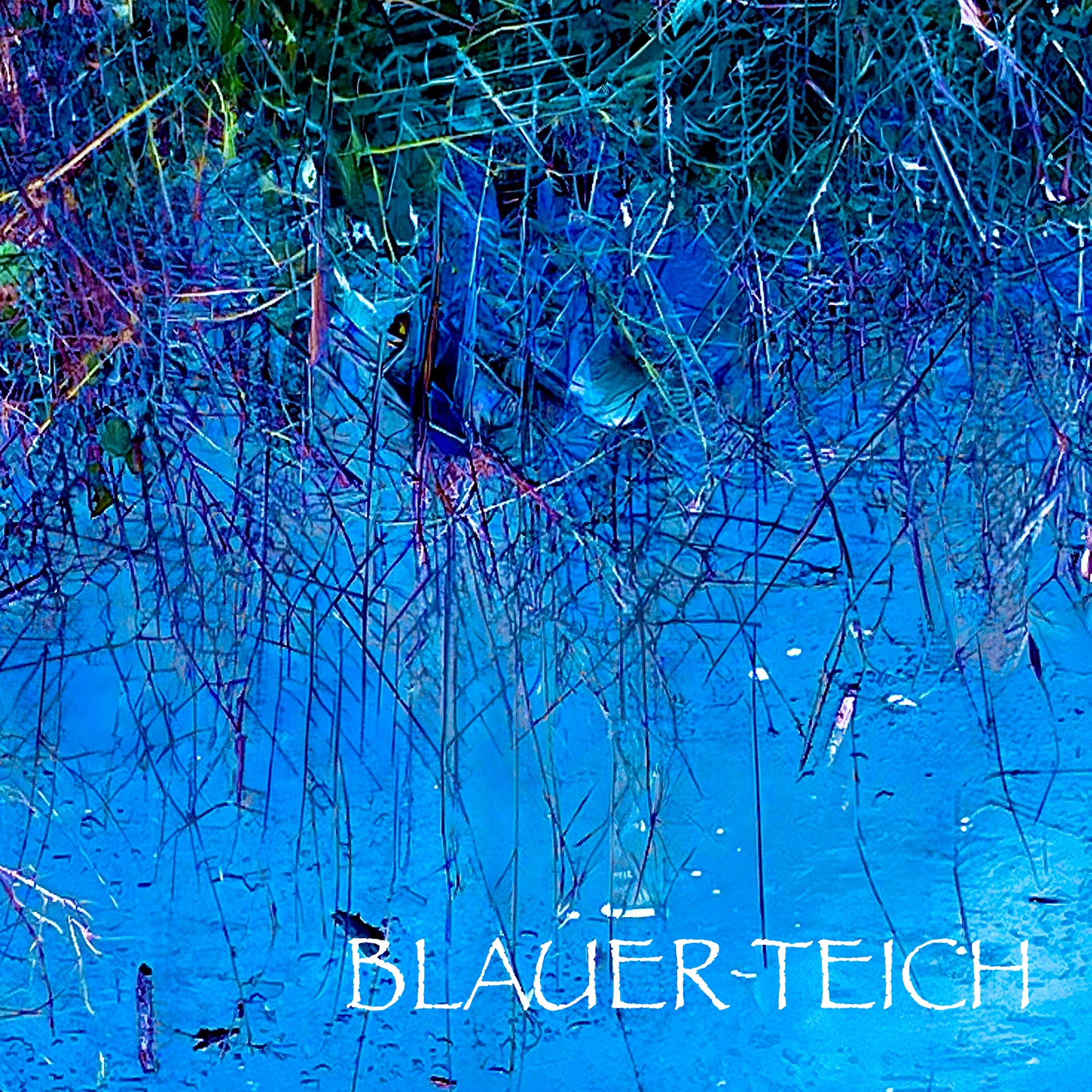 Blauer Teich Album Cover